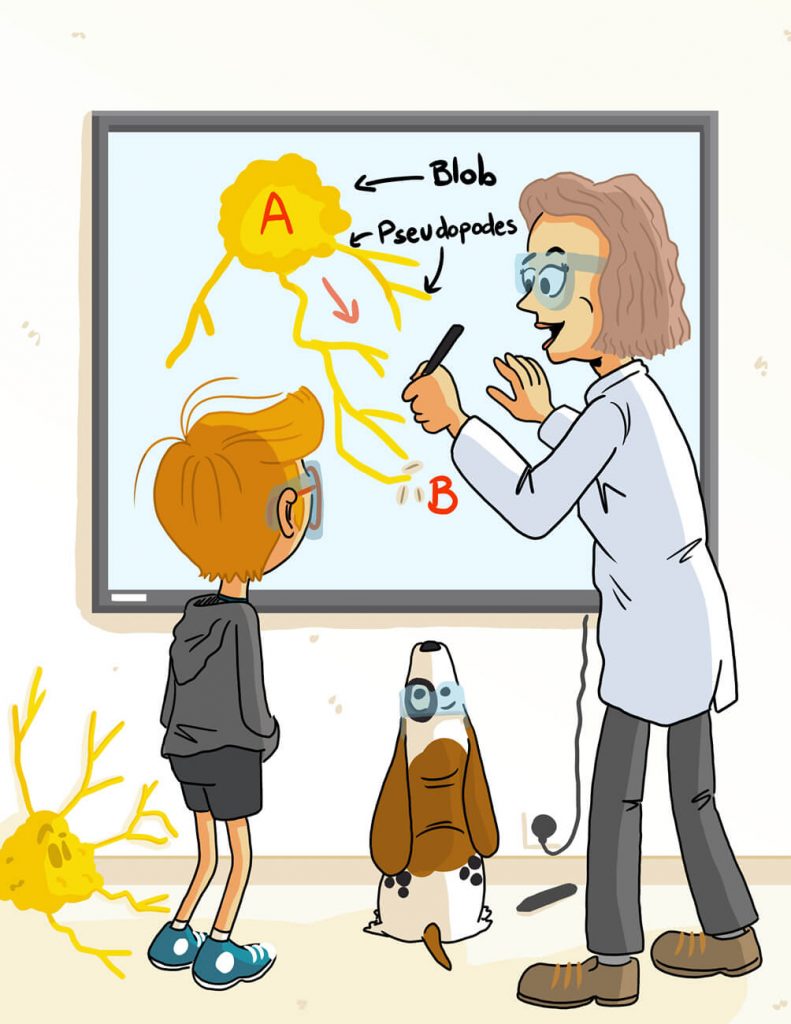 Illustration jeunesse - Les explication scientifiques sur le blob