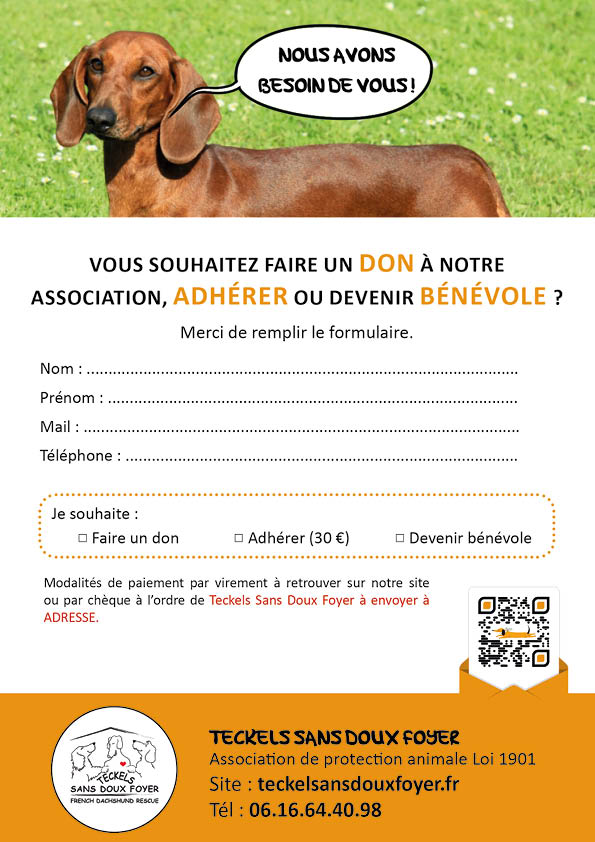 Recto du flyer bande dessinée de l’association Teckel SDF présentant le texte et les informations principales sur le sauvetage de Titeck