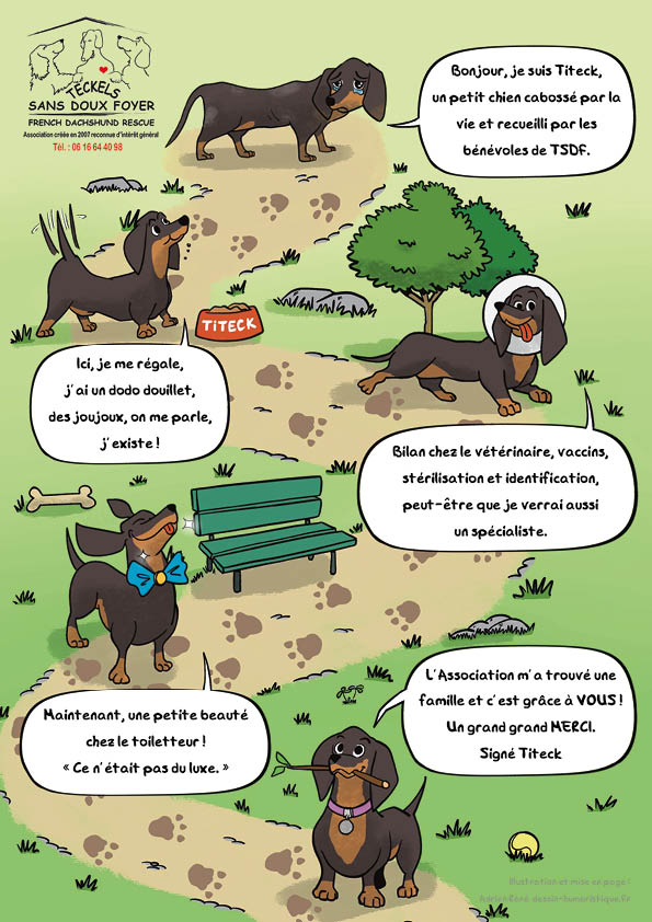 Illustration flyer BD montrant Titeck, un teckel recueilli par l’association, lors de son sauvetage